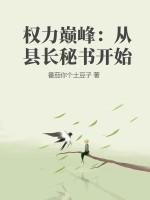 权力巅峰:从县长秘书开始 权力巅峰:从县长秘书开始
