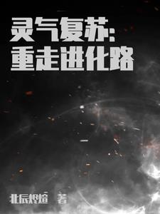 终极进化路 终极进化路