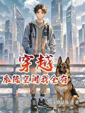 穿越系统空间我全有 穿越系统空间我全有