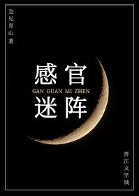 感官迷阵 感官迷阵